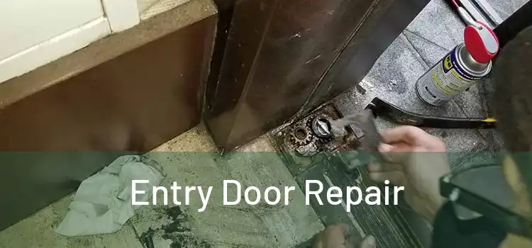 Entry Door Repair